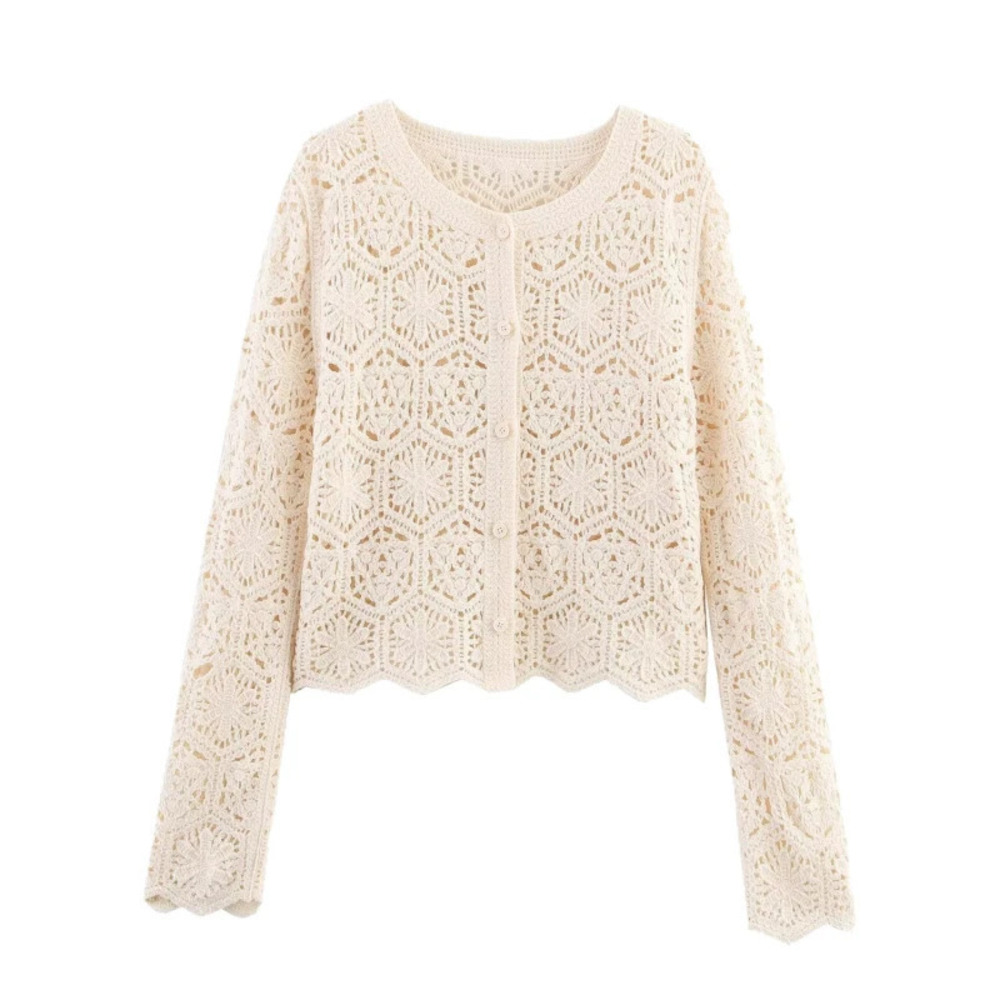 ZARA Early Spring Long Sleeve Crochet Top